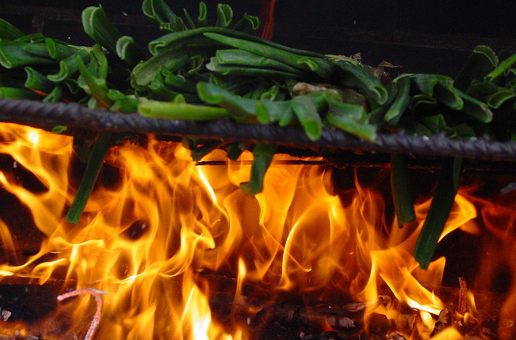 Calçotades a Girona! Calçots ben sucats. Una bona dosi de tradició i bon menjar!
