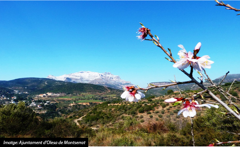 El Baix Llobregat: Molt més del que t’imagines