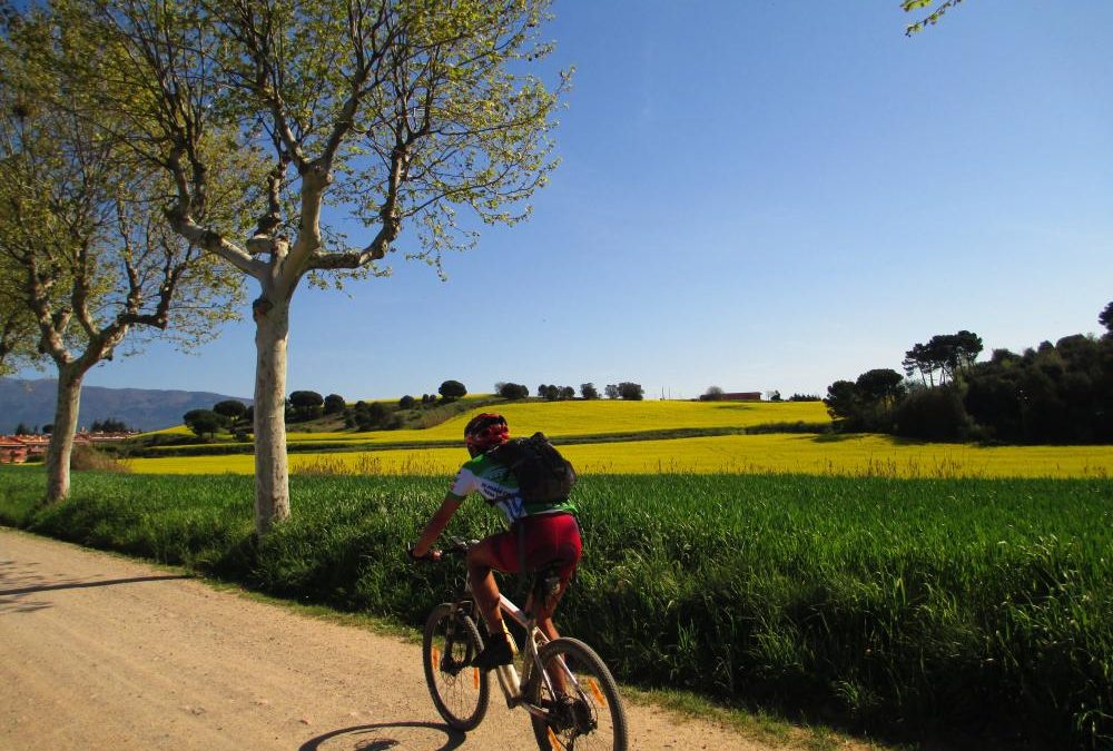 3,2,1…Som-hi! Activitats sobre rodes a Barcelona
