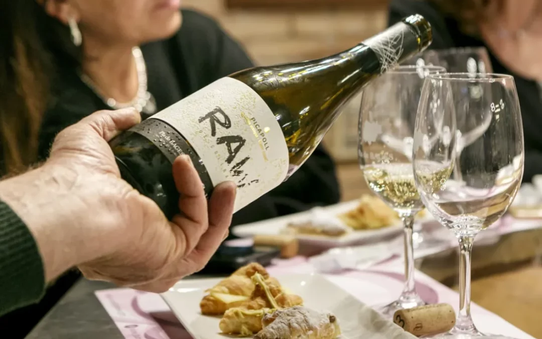 Celler El Molí – Collbaix