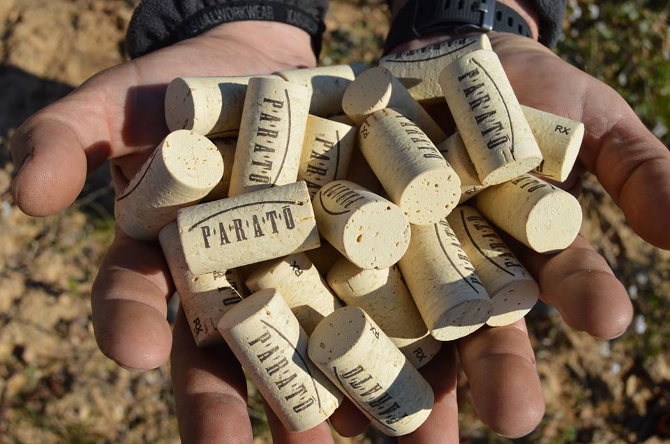 Bodega Parató