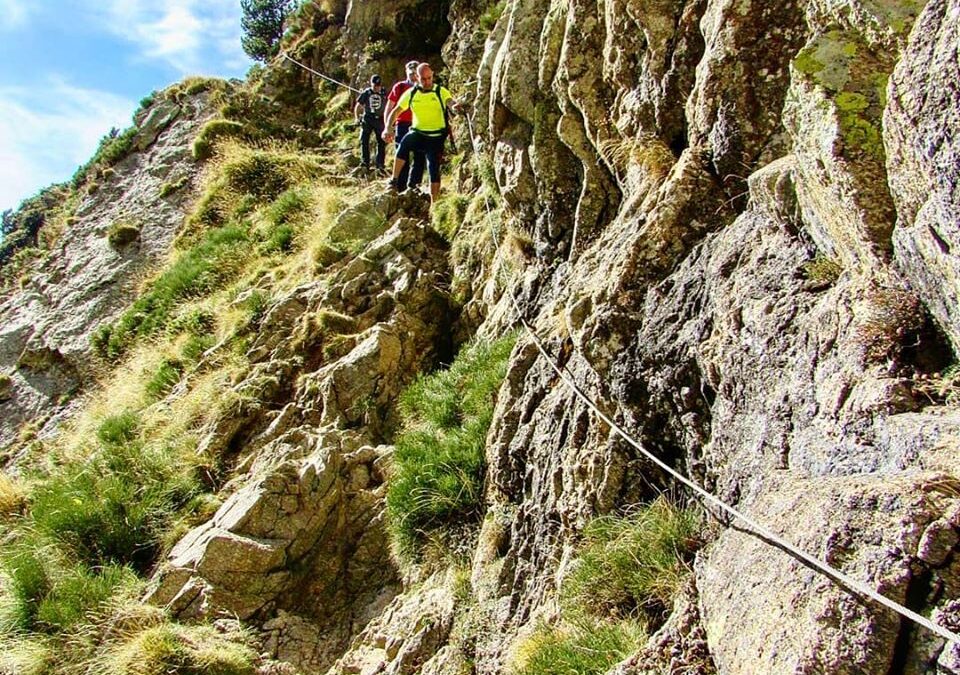 Amaroq Explorers / Base Camp