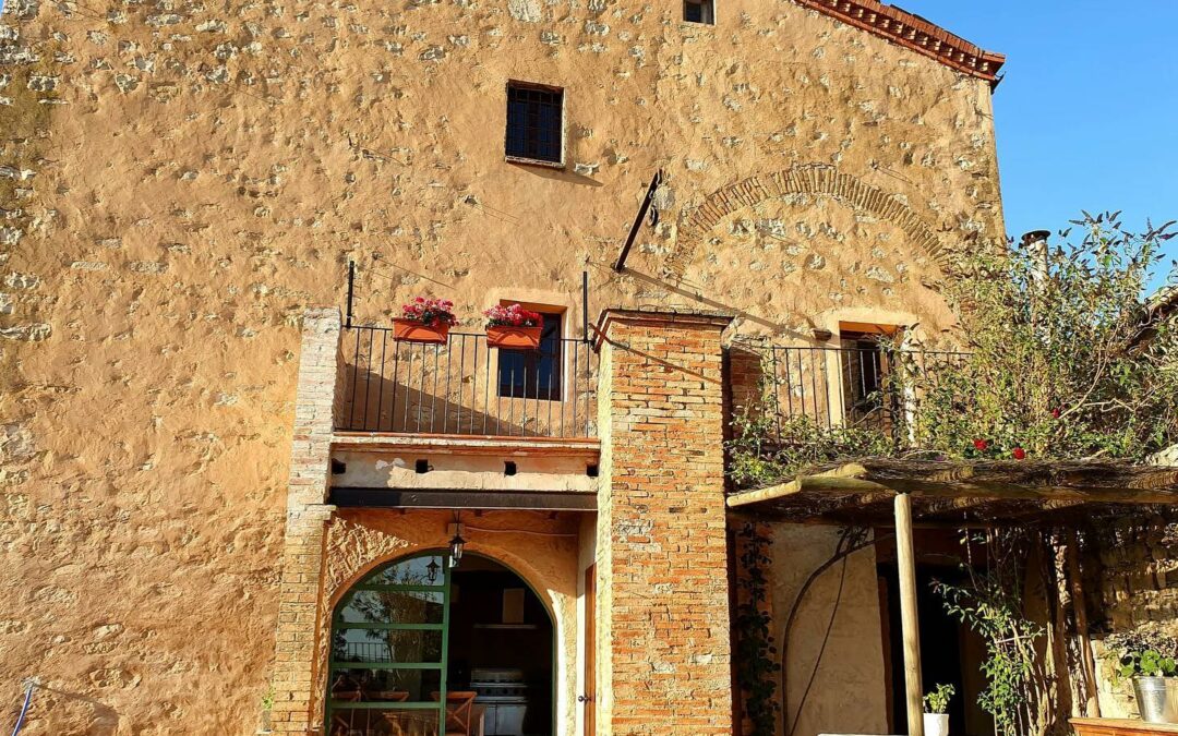 Menta Rural