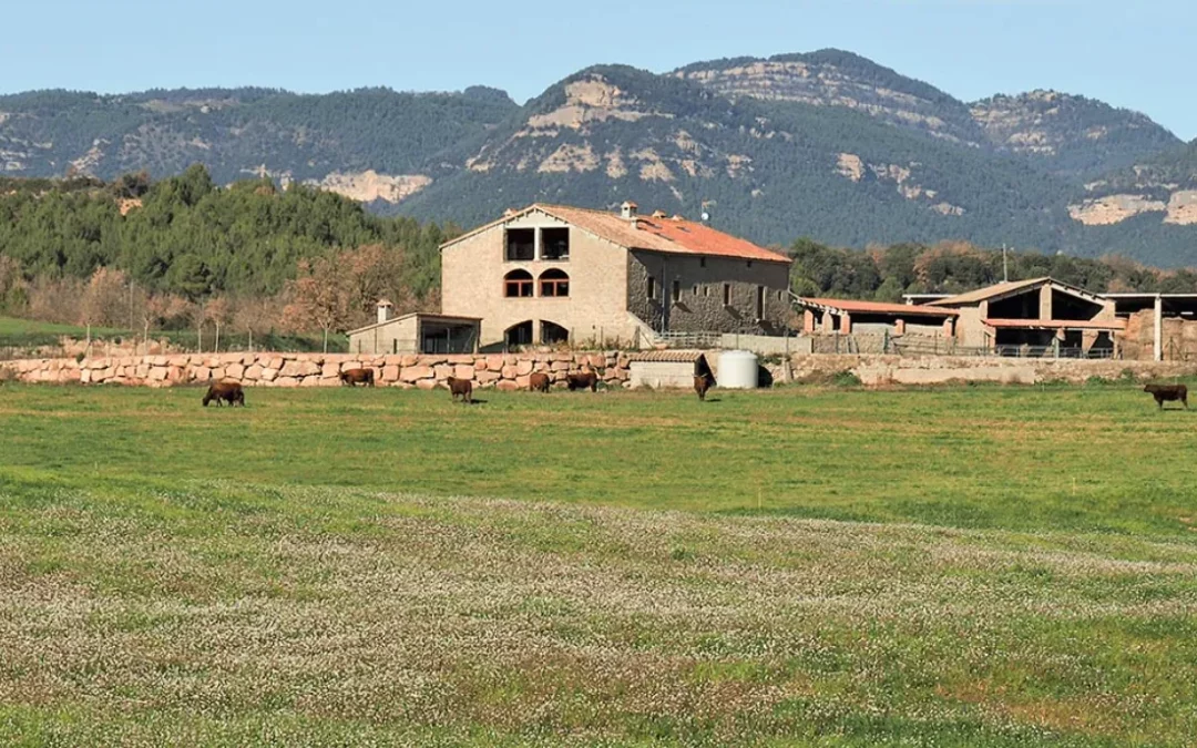 Cal Masover de Circuns