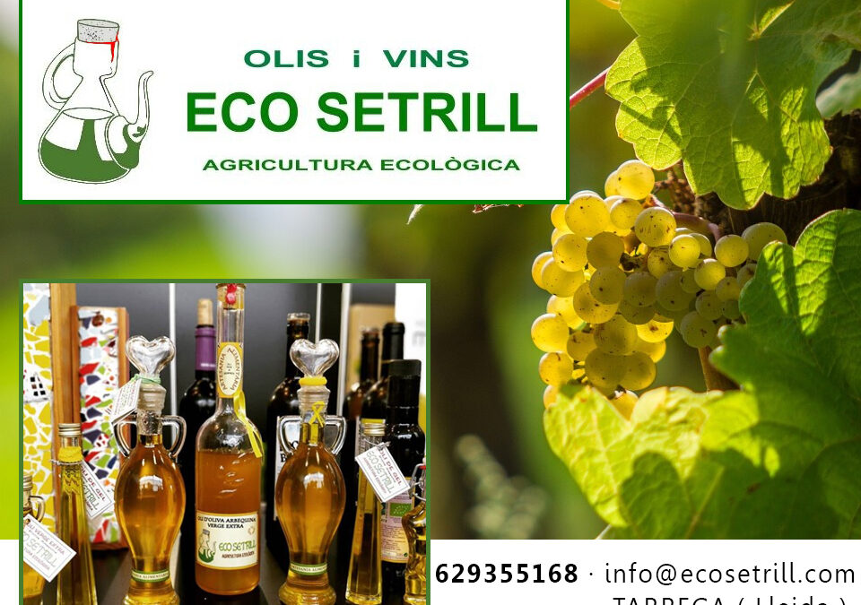Eco Setrill – Vinya Sanfeliu