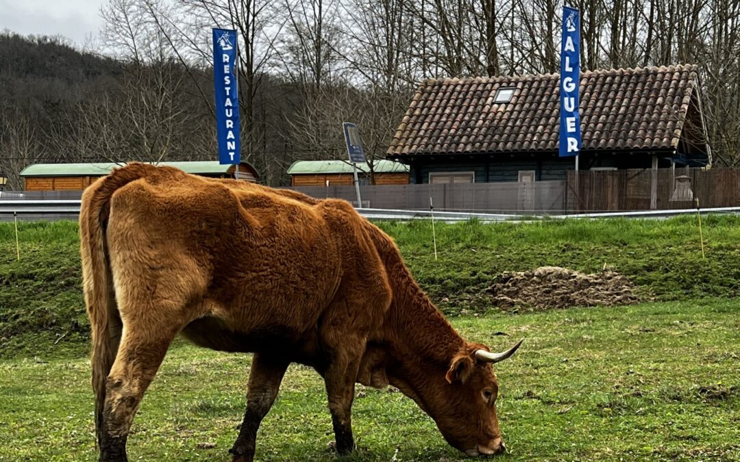 El càmping l’Alguer