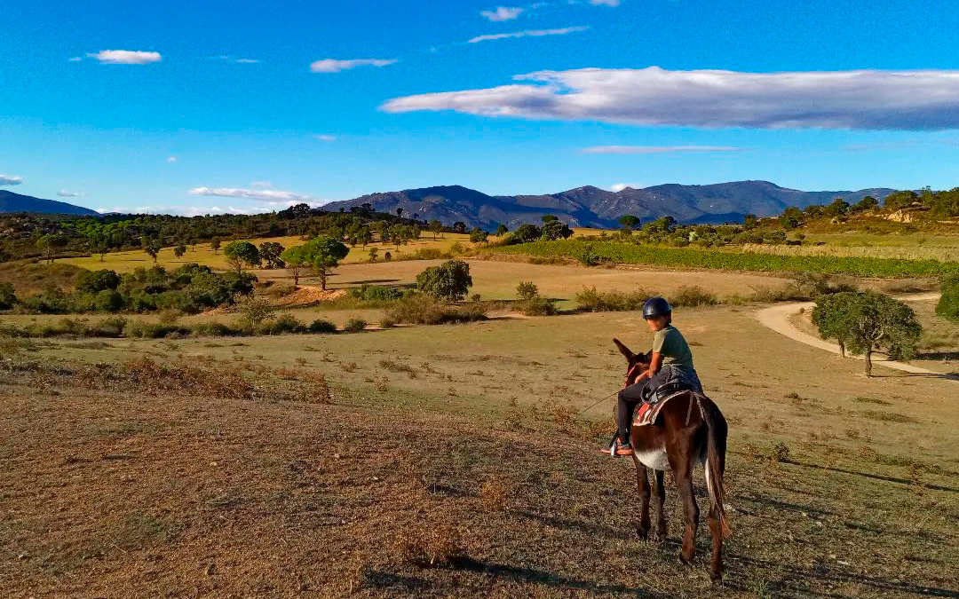 Activitats a Catalunya per aquesta tardor!