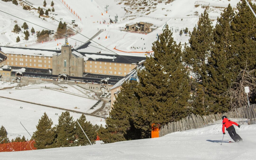 Aquest hivern no et quedis a casa. Activitats a dojo!