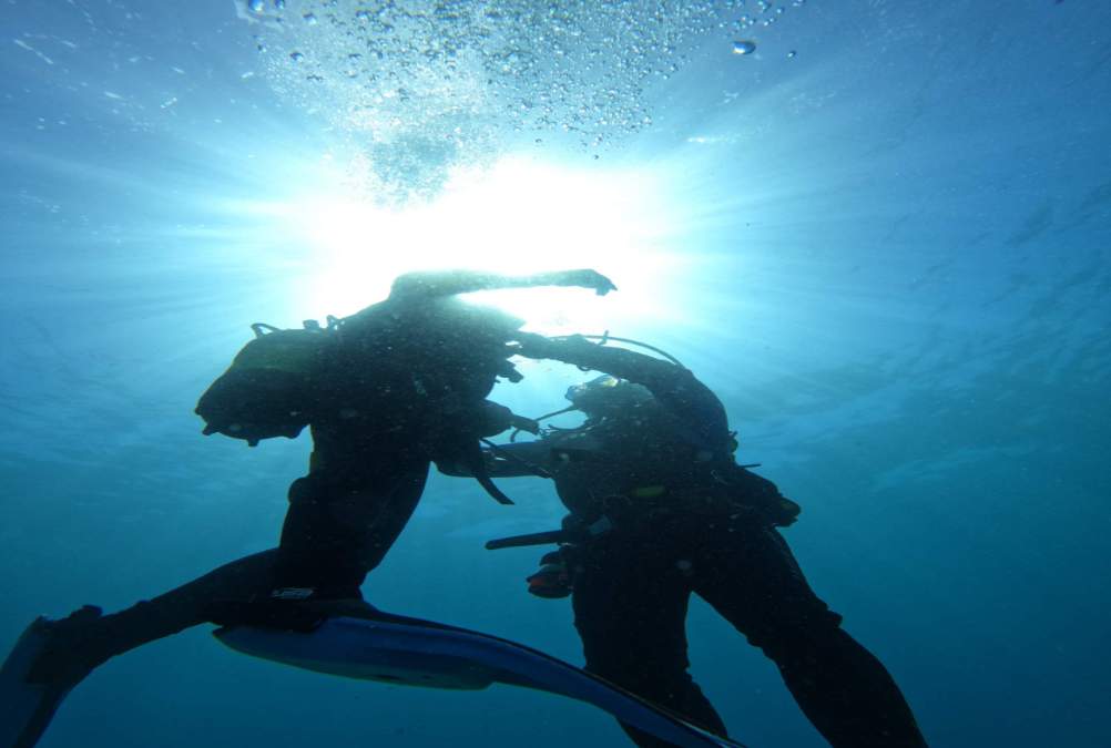 Dolphins Diving Center