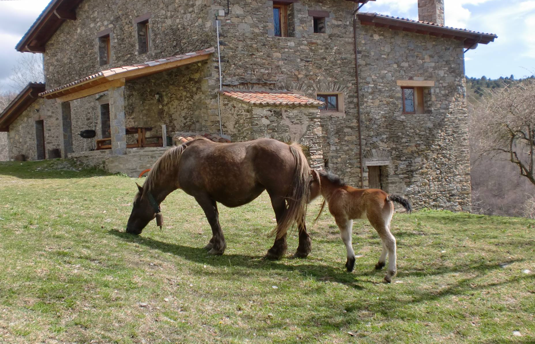 Can Pastoret