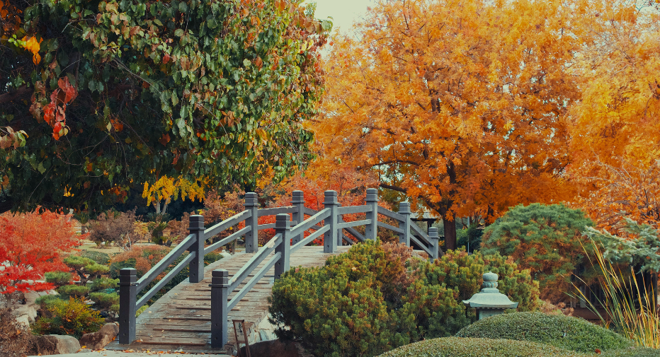 Activitats Inoblidables Aquesta Tardor a Catalunya