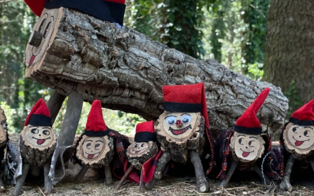 Tions al Bosc: 2 experiències per trobar el teu Tió