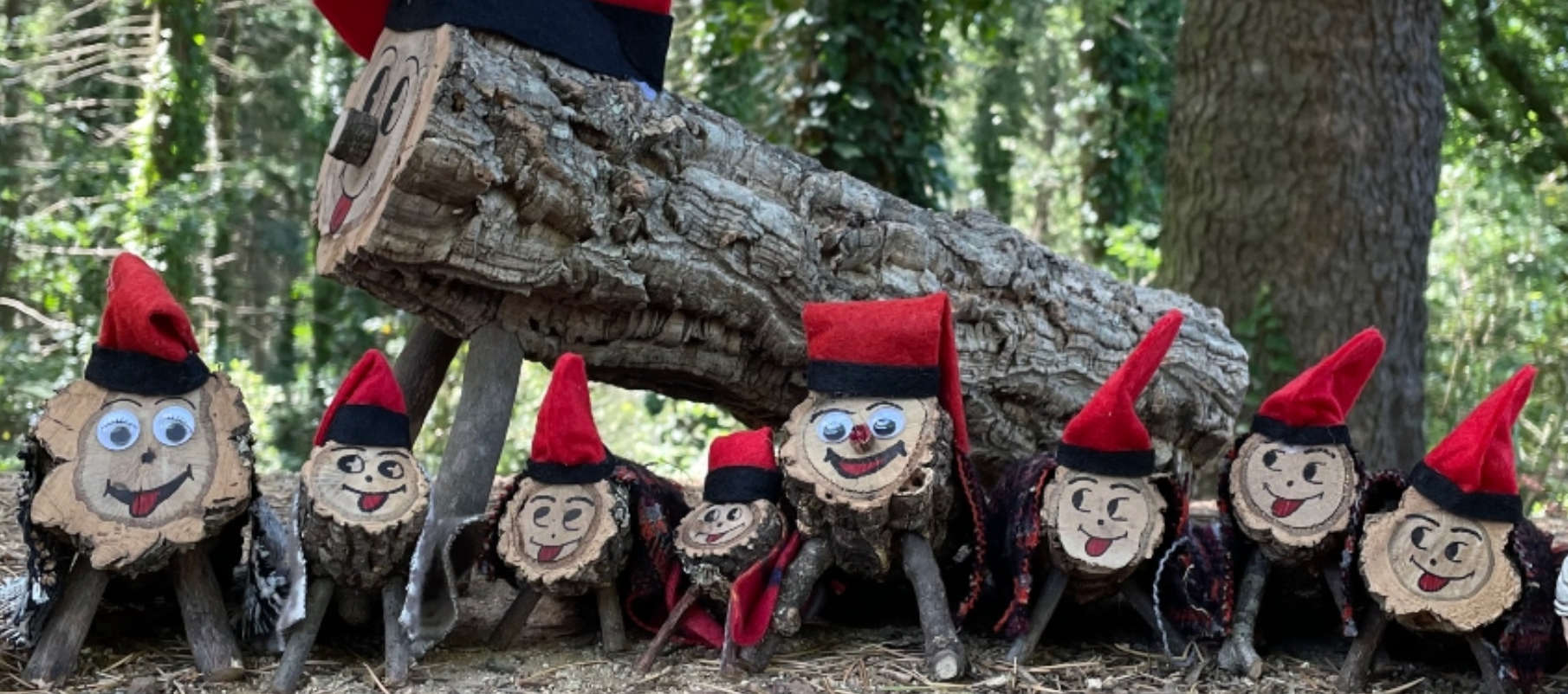 Tions al Bosc: 2 experiències per trobar el teu Tió