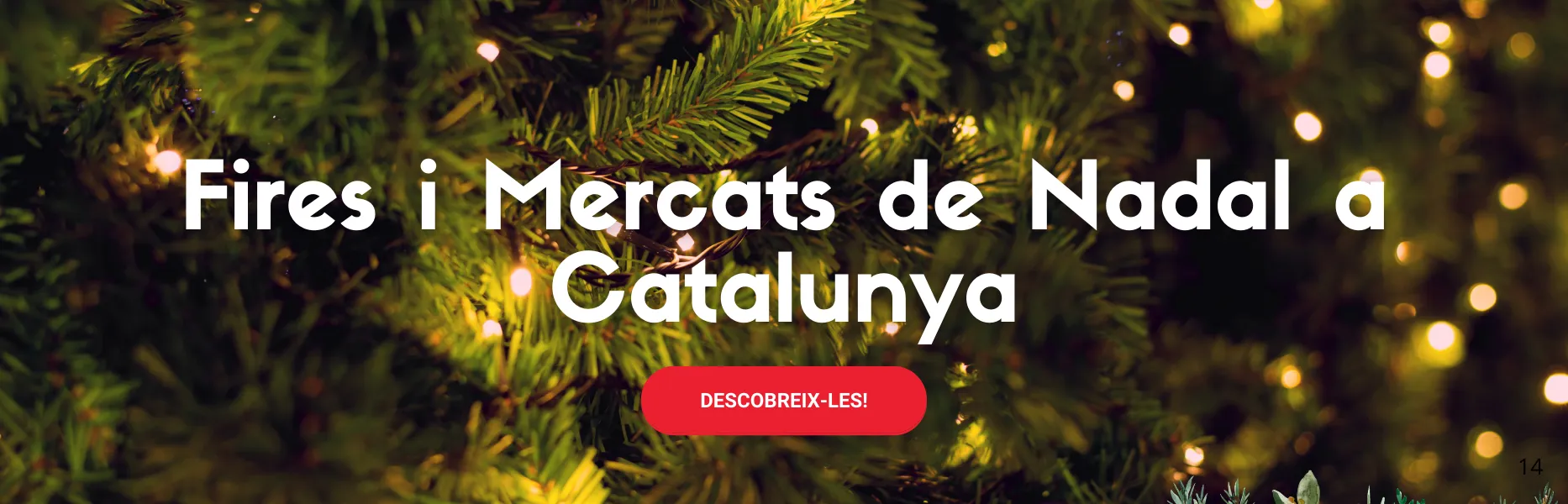 Cercador de_firesi-mercats_de_nadal_a_catalunya