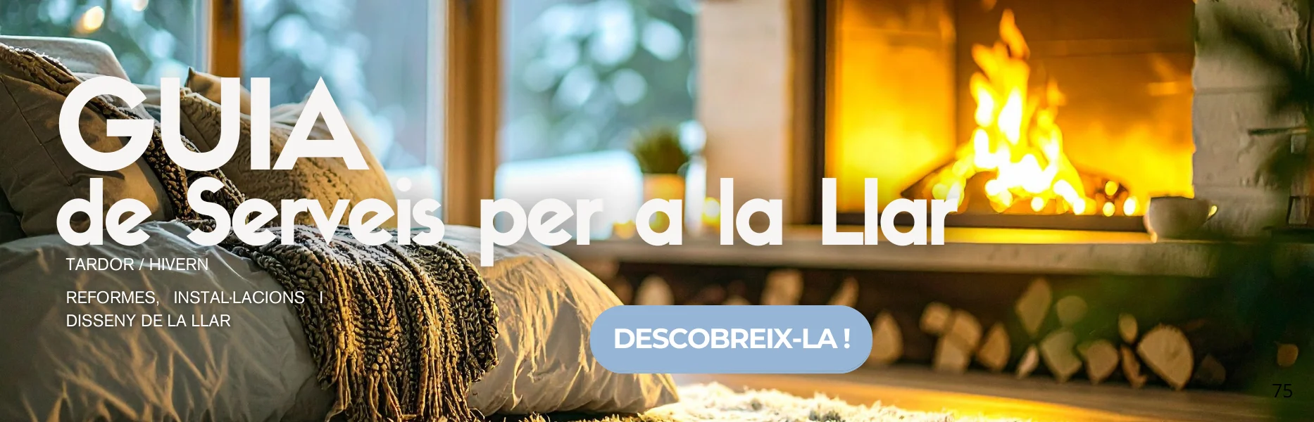 Guia de reformes i servei stardor hivern