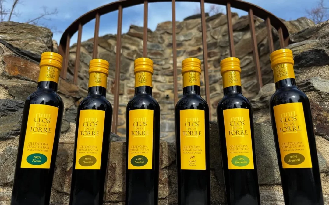 Clos de la Torre
