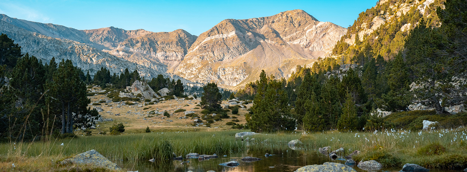 Panoràmica de muntanyes, bosc i un petit estany